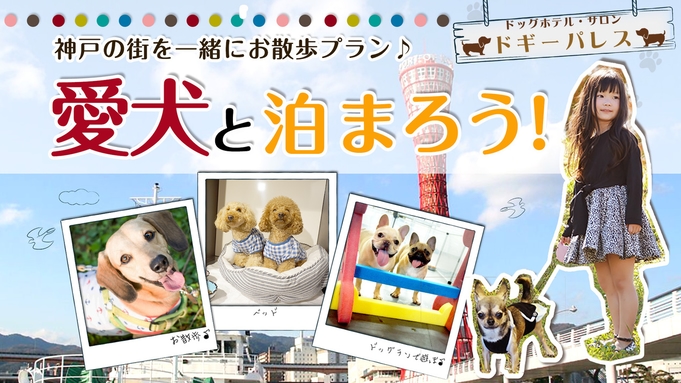 【愛犬と泊まろう】＼神戸の街をお散歩／わんダフルプラン★朝食付き